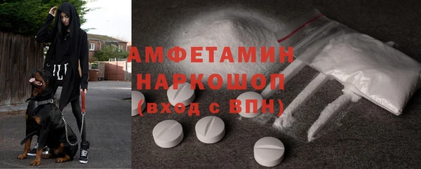 шишки Медвежьегорск