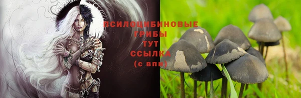 прущий лед Майский