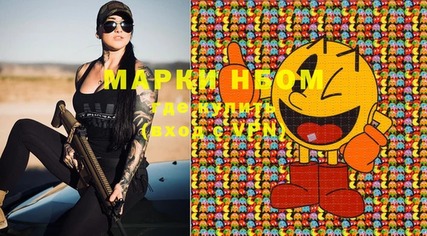 шишки Медвежьегорск