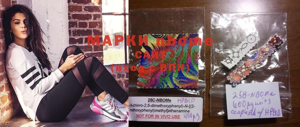 шишки Медвежьегорск