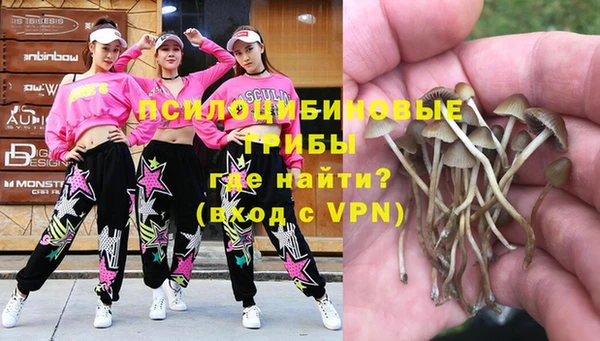 прущий лед Майский