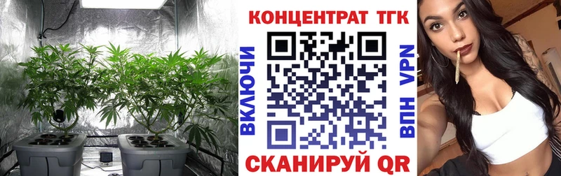 ТГК концентрат Кохма