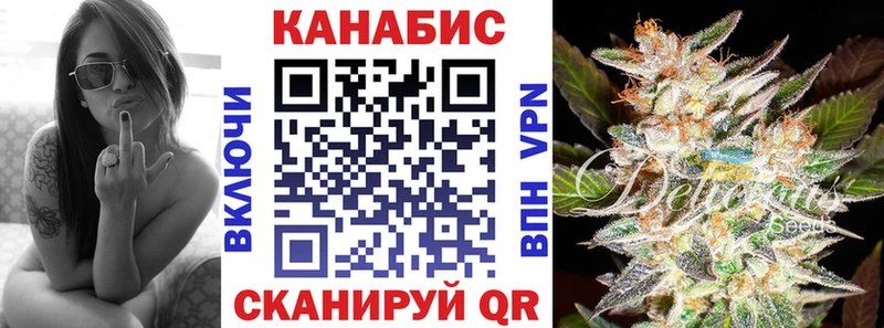Конопля гибрид Кохма